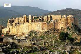 قلعة حماه