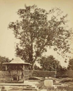 ضريح الشهيد القديس جاورجيوس ( هنري جوزيف سوفير ـ Henri Joseph Sauvaire ) حين كان مستشار للقنصلية الفرنسية وتصادف وجودة بدمشق أيام مجزرة ١٨٦٠ الطائفية والتقط صورا للحي المسيحي وهذه الصورة النادرة للقبر في عام 1861 بموجب رابط الصورة أدناه . 