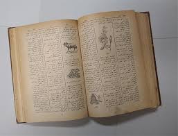 المعاجم الثنائية اللغات وتاريخها