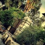ذكريات الزمن الجميل وعبق الياسمين الدمشقي