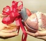 موقف الكنيسة الارثوذكسية من وهب الأعضاء… زرع الأعضاء وموت الدماغ