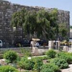 وطني سورية