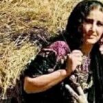 قصة اغنية شفتك ياجفلة…