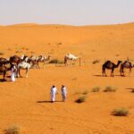 صحراء الجزيرة العربية