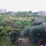دير الفاروس المندثر في اللاذقية