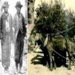 قصة 100 سوري ولبناني ضحايا أكلة لحوم البشر بأقصى الأرض