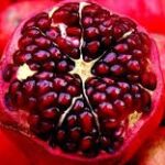 لماذا تُبارك الكنيسة الأرثوذكسية ثمار الرُّمان في عيد رفع الصليب المُحيي ؟