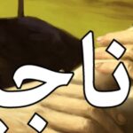 الأناجيل قد كُتبت في زمن مبكّر، بخلاف ما يدّعي كثيرون