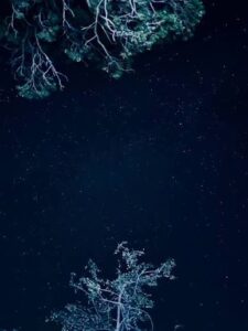 من الذاكرة الكشفية