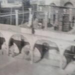 فتنة 1860 الطائفية ودمار مريمية الشام